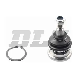 BJ0253 DLZ