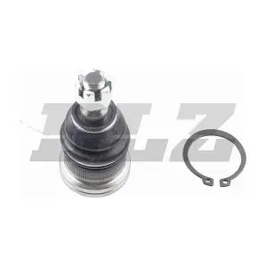 BJ0211 DLZ