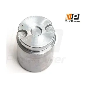 9B3171 ProfiPower