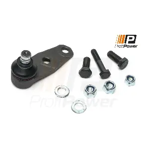 ProfiPower 2S0006