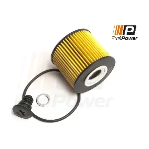 1F0165 ProfiPower