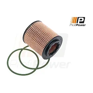 1F0024 ProfiPower