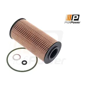 1F0098 ProfiPower
