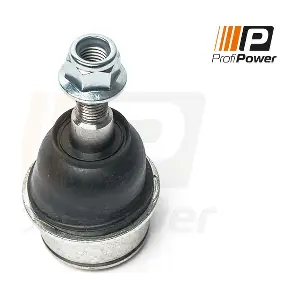 ProfiPower 2S0113