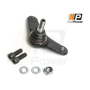 2S0125R ProfiPower