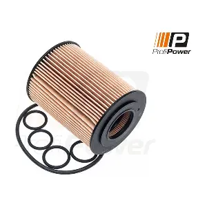 1F0056 ProfiPower