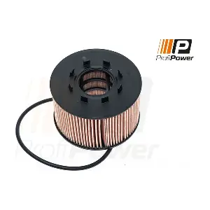 1F0046 ProfiPower
