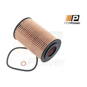 1F0095 ProfiPower