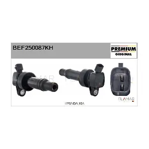 FLAMAR BEF250087KH