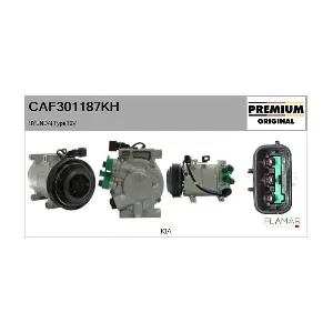 CAF301187KH FLAMAR