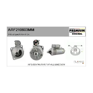 FLAMAR ARF210603MM