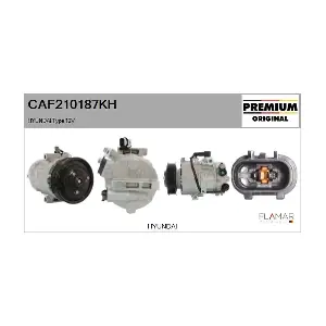 CAF210187KH FLAMAR