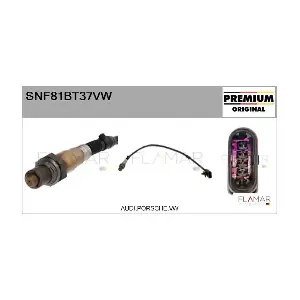 FLAMAR SNF81BT37VW