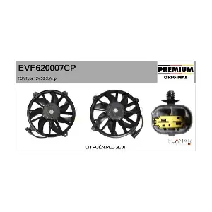 FLAMAR EVF620007CP
