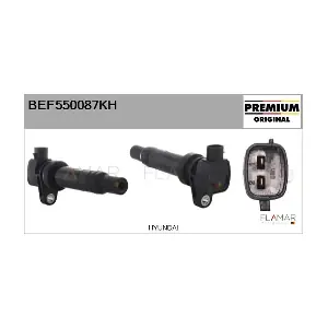 BEF550087KH FLAMAR