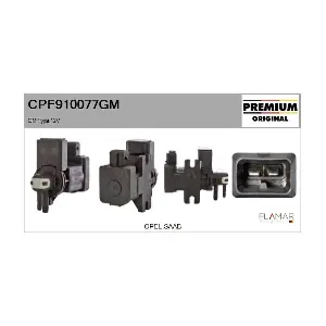 CPF910077GM FLAMAR