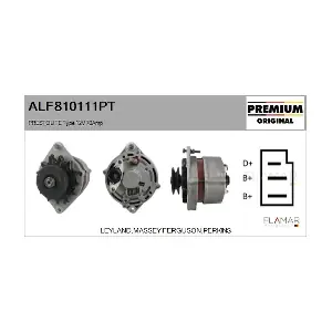 FLAMAR ALF810111PT