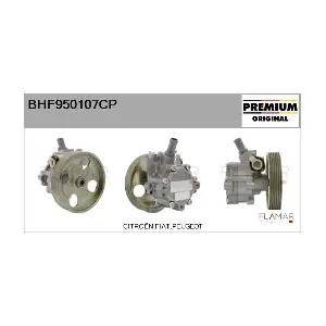 BHF950107CP FLAMAR