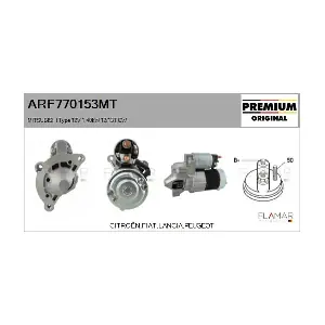FLAMAR ARF770153MT