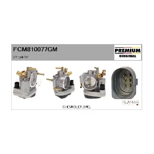 FLAMAR FCM810077GM
