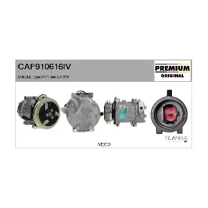 FLAMAR CAF910616IV