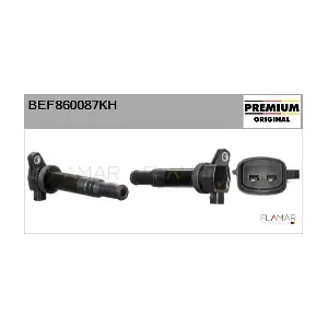 BEF860087KH FLAMAR