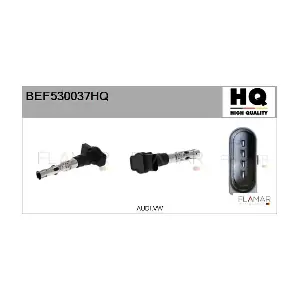 BEF530037HQ FLAMAR