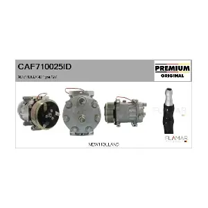 FLAMAR CAF710025ID