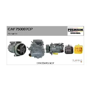 CAF750007CP FLAMAR