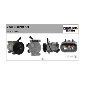 CAF810387KH FLAMAR