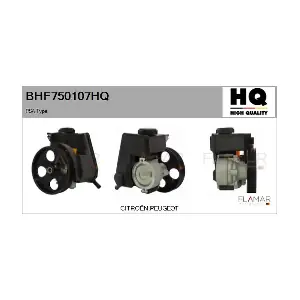 FLAMAR BHF750107HQ
