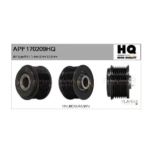 FLAMAR APF170209HQ