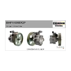 FLAMAR BHF110107CP