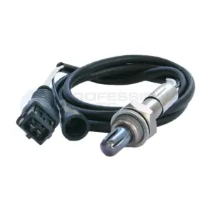 253019124 Professional Parts