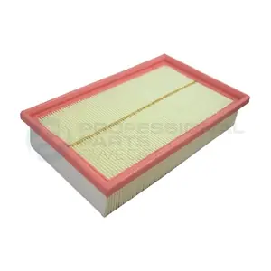 Professional Parts 24433560
