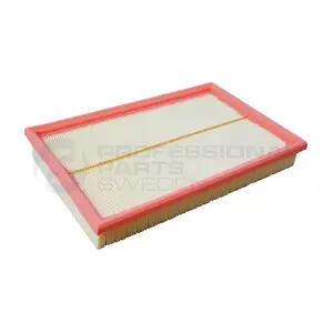 24346063 Professional Parts