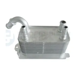 22432231 Professional Parts