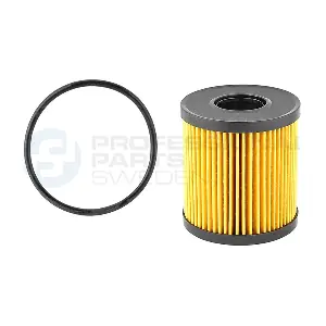 Professional Parts 22430798