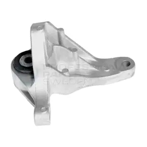 Professional Parts 62433850