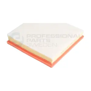 24270163 Professional Parts