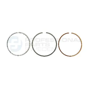 21343555 Professional Parts