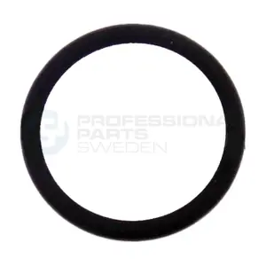 21348145 Professional Parts