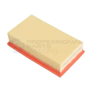24279932 Professional Parts