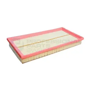 24430831 Professional Parts