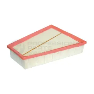 24430955 Professional Parts