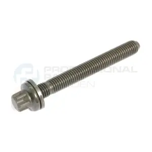 Professional Parts 21438871