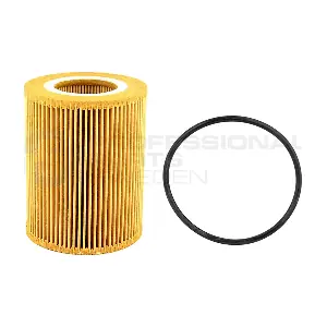 22430013 Professional Parts