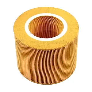 24342491 Professional Parts