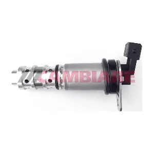 VE715070 Cambiare
