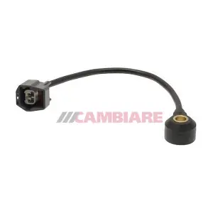 VE369055 Cambiare